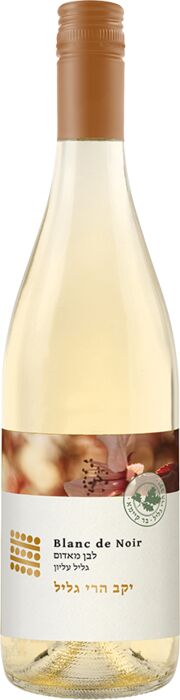 Galil Mountain Winery Blanc De Noir [Still], Galil Mountain Winery 2020