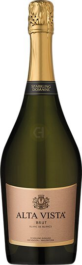 Alta Vista Blanc De Blancs Brut Mendoza Argentina Nv